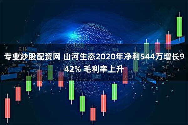 专业炒股配资网 山河生态2020年净利544万增长942% 毛利率上升